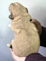 processed/7c890c85-adb8-4658-850a-d1f8bcf1724b/listing/fe8309d2-062d-4565-8fec-5fa43cb08c2f/25b0b9db-12f1-4427-bdf6-3f964543b370