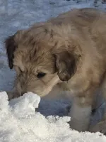 processed/7c890c85-adb8-4658-850a-d1f8bcf1724b/listing/fe8309d2-062d-4565-8fec-5fa43cb08c2f/4b8290f5-1144-4212-a95d-8106d3c1037a