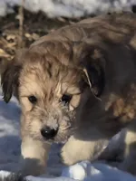 processed/7c890c85-adb8-4658-850a-d1f8bcf1724b/listing/fe8309d2-062d-4565-8fec-5fa43cb08c2f/7c973374-a99d-42b1-9142-f4c2a3fe0490