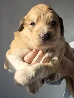 processed/7c890c85-adb8-4658-850a-d1f8bcf1724b/listing/fe8309d2-062d-4565-8fec-5fa43cb08c2f/8c7a48e2-2ec3-450d-b8a8-7026ab6522e7