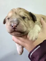 processed/7c890c85-adb8-4658-850a-d1f8bcf1724b/listing/fe8309d2-062d-4565-8fec-5fa43cb08c2f/bff40f60-6134-4b56-a450-7e07b71724ac