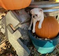 processed/7c8c5e89-ea41-4bf3-8d98-cd820bedfcd4/facility/05807705-f48b-4ae8-bb56-a8040521f7e1