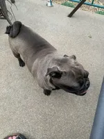 processed/7c8c5e89-ea41-4bf3-8d98-cd820bedfcd4/facility/31d8938c-3f79-431a-9688-3ec434af823f