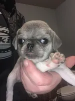 processed/7c8c5e89-ea41-4bf3-8d98-cd820bedfcd4/facility/646fe05b-f866-42a5-a156-dfc26067709e