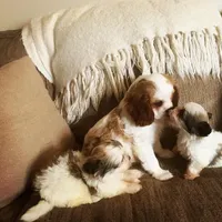 processed/7c9b18c5-779e-4ab8-a30b-f71210afa2a3/facility/14a71b88-3a66-4490-9700-ef7dac2e7e6e