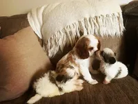 processed/7c9b18c5-779e-4ab8-a30b-f71210afa2a3/facility/14a71b88-3a66-4490-9700-ef7dac2e7e6e