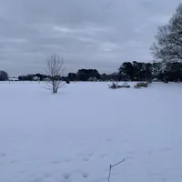 processed/7c9b18c5-779e-4ab8-a30b-f71210afa2a3/facility/183f466a-30f3-44c3-b517-418570ccf4e3