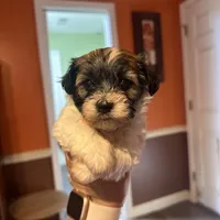 processed/7c9b18c5-779e-4ab8-a30b-f71210afa2a3/facility/18f8a1a9-3a50-4cad-b86b-2e1dec7475ce