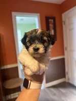 processed/7c9b18c5-779e-4ab8-a30b-f71210afa2a3/facility/18f8a1a9-3a50-4cad-b86b-2e1dec7475ce