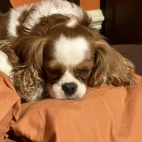 processed/7c9b18c5-779e-4ab8-a30b-f71210afa2a3/facility/19e5f590-a0fd-41f3-9c34-40331ae84844