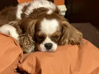 processed/7c9b18c5-779e-4ab8-a30b-f71210afa2a3/facility/19e5f590-a0fd-41f3-9c34-40331ae84844