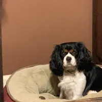 processed/7c9b18c5-779e-4ab8-a30b-f71210afa2a3/facility/3041a7b2-eee8-458c-925a-aa6d499026af