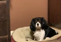 processed/7c9b18c5-779e-4ab8-a30b-f71210afa2a3/facility/3041a7b2-eee8-458c-925a-aa6d499026af