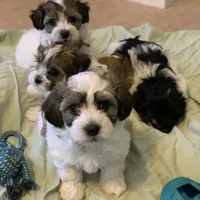 processed/7c9b18c5-779e-4ab8-a30b-f71210afa2a3/facility/408d0ce0-7687-4782-b385-c6a911c2dfc9