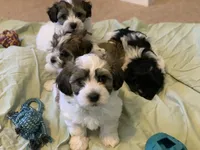 processed/7c9b18c5-779e-4ab8-a30b-f71210afa2a3/facility/408d0ce0-7687-4782-b385-c6a911c2dfc9