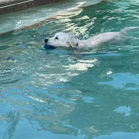 processed/7c9b18c5-779e-4ab8-a30b-f71210afa2a3/facility/a2e5cfda-f3c6-4570-b937-7309dd2176a1