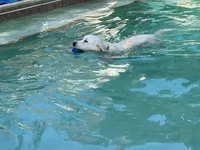 processed/7c9b18c5-779e-4ab8-a30b-f71210afa2a3/facility/a2e5cfda-f3c6-4570-b937-7309dd2176a1