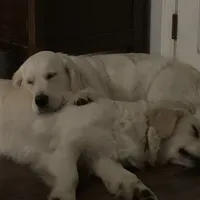 processed/7c9b18c5-779e-4ab8-a30b-f71210afa2a3/facility/bd48a781-7475-431b-a561-497c2f660482