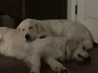 processed/7c9b18c5-779e-4ab8-a30b-f71210afa2a3/facility/bd48a781-7475-431b-a561-497c2f660482