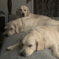 processed/7c9b18c5-779e-4ab8-a30b-f71210afa2a3/facility/c4fe8980-6c08-460e-be55-d80a9e32f741