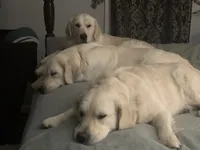 processed/7c9b18c5-779e-4ab8-a30b-f71210afa2a3/facility/c4fe8980-6c08-460e-be55-d80a9e32f741