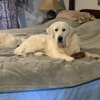 processed/7c9b18c5-779e-4ab8-a30b-f71210afa2a3/facility/fe41eabb-0e1c-4c0a-ae7d-7521d93be8d8