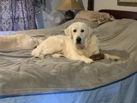 processed/7c9b18c5-779e-4ab8-a30b-f71210afa2a3/facility/fe41eabb-0e1c-4c0a-ae7d-7521d93be8d8