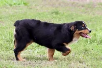 processed/7ca7db26-dd33-483a-93b6-96019628987c/listing/07401c43-0a77-4c4c-981e-8c895ebf342b/22a6fb52-f840-4f15-89f4-f35334b395c5