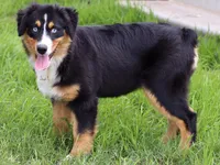 processed/7ca7db26-dd33-483a-93b6-96019628987c/listing/07401c43-0a77-4c4c-981e-8c895ebf342b/26481b47-a02d-4ffd-87bf-6c937de5a008