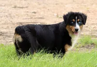 processed/7ca7db26-dd33-483a-93b6-96019628987c/listing/07401c43-0a77-4c4c-981e-8c895ebf342b/77cf182e-5ac1-4749-9df6-17eb3d5e2c8e