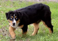 processed/7ca7db26-dd33-483a-93b6-96019628987c/listing/07401c43-0a77-4c4c-981e-8c895ebf342b/c1c94c80-7405-4579-bc28-88d53d6db58e