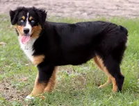 processed/7ca7db26-dd33-483a-93b6-96019628987c/listing/07401c43-0a77-4c4c-981e-8c895ebf342b/cfe4b367-444f-456e-ba42-6f0f35e497ee