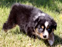 processed/7ca7db26-dd33-483a-93b6-96019628987c/listing/07401c43-0a77-4c4c-981e-8c895ebf342b/fef765bf-226d-422a-b211-56cf4433164e