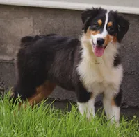 processed/7ca7db26-dd33-483a-93b6-96019628987c/listing/5787773e-9666-495f-9037-35cde0f19a9d/1a692301-23b7-49e5-8bb0-c9c095d405a0