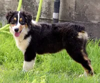 processed/7ca7db26-dd33-483a-93b6-96019628987c/listing/5787773e-9666-495f-9037-35cde0f19a9d/5c1a95fc-d619-4db4-86d1-1a4c7df26a09