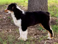 processed/7ca7db26-dd33-483a-93b6-96019628987c/listing/5787773e-9666-495f-9037-35cde0f19a9d/b25295e8-7fa2-4d9a-86d0-46ece6f40562