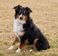 processed/7ca7db26-dd33-483a-93b6-96019628987c/listing/b1c827de-f85a-4a47-8570-0d095de5a13b/1c292988-3d17-4a95-8460-3b7b5d3ddde8