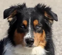 processed/7ca7db26-dd33-483a-93b6-96019628987c/listing/b1c827de-f85a-4a47-8570-0d095de5a13b/2e1cdbf6-fc1b-4a07-8248-d3b75f1f6e4f