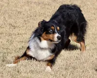 processed/7ca7db26-dd33-483a-93b6-96019628987c/listing/b1c827de-f85a-4a47-8570-0d095de5a13b/3ca47e42-5863-4099-9b82-58ad0cbee869