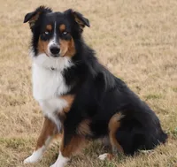 processed/7ca7db26-dd33-483a-93b6-96019628987c/listing/b1c827de-f85a-4a47-8570-0d095de5a13b/4e605f78-bbe4-48f4-9523-90375e1c3901