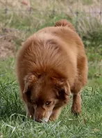 processed/7ca7db26-dd33-483a-93b6-96019628987c/listing/d6cf4d0a-0826-4813-89a0-18c5f3b509cf/497608b1-ced6-4b62-9dc4-95ba1889cb45