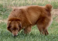 processed/7ca7db26-dd33-483a-93b6-96019628987c/listing/d6cf4d0a-0826-4813-89a0-18c5f3b509cf/b6953a03-56e6-45bb-80b0-46b3d40cdbfe