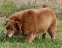 processed/7ca7db26-dd33-483a-93b6-96019628987c/listing/d6cf4d0a-0826-4813-89a0-18c5f3b509cf/ee8db90b-fd05-4909-b40b-6c8848283db7