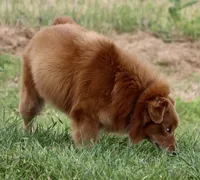 processed/7ca7db26-dd33-483a-93b6-96019628987c/listing/d6cf4d0a-0826-4813-89a0-18c5f3b509cf/ff40eb5e-66ef-4683-ab35-ba955330f1c0