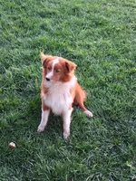 processed/7cbacb96-d1ee-4ca1-9e48-3475bc206f87/listing/2df38102-a937-4786-824d-9596e5d3b8f0/50915e59-07f0-46e4-b994-96c70c116713