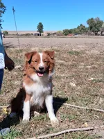 processed/7cbacb96-d1ee-4ca1-9e48-3475bc206f87/listing/2df38102-a937-4786-824d-9596e5d3b8f0/8dbc13e9-9614-4476-9783-2398067882d5