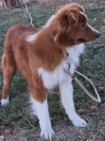 processed/7cbacb96-d1ee-4ca1-9e48-3475bc206f87/listing/2df38102-a937-4786-824d-9596e5d3b8f0/c9d902fa-5c3f-4a57-9aad-1b6d087f44c6