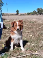 processed/7cbacb96-d1ee-4ca1-9e48-3475bc206f87/listing/2df38102-a937-4786-824d-9596e5d3b8f0/d813ec8e-e7e8-46af-a3bf-7ffd156036ac