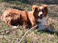 processed/7cbacb96-d1ee-4ca1-9e48-3475bc206f87/listing/2df38102-a937-4786-824d-9596e5d3b8f0/e29fae1d-d5ec-4d08-b190-2d33f91fb296