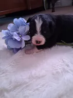 processed/7cbacb96-d1ee-4ca1-9e48-3475bc206f87/listing/38438540-79ad-4071-8564-de72cc74f2fe/0f4bfb60-cd31-48cb-acb6-71af1885f3b6